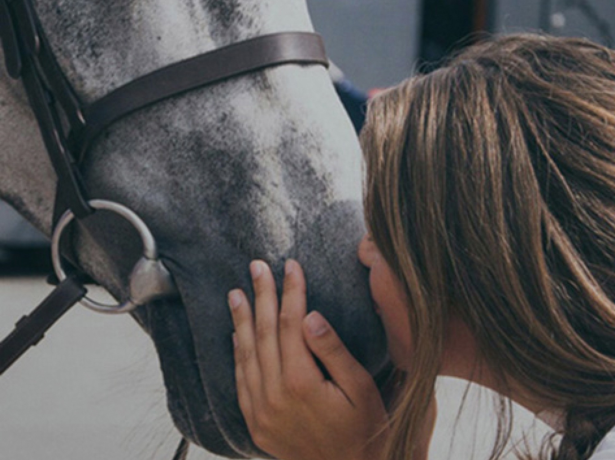 Banner Image 2